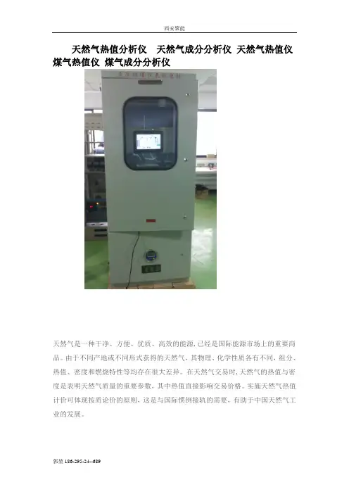 天然气热值分析仪  天然气成分分析仪