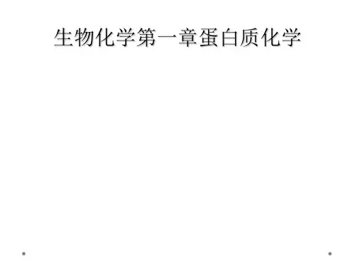 生物化学第一章蛋白质化学