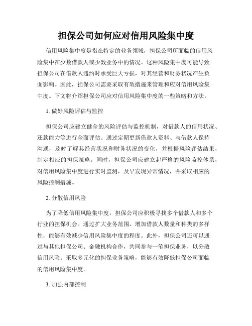 担保公司如何应对信用风险集中度