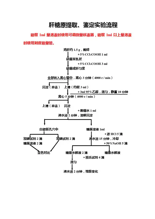 肝糖原提取、鉴定与定量实验流程