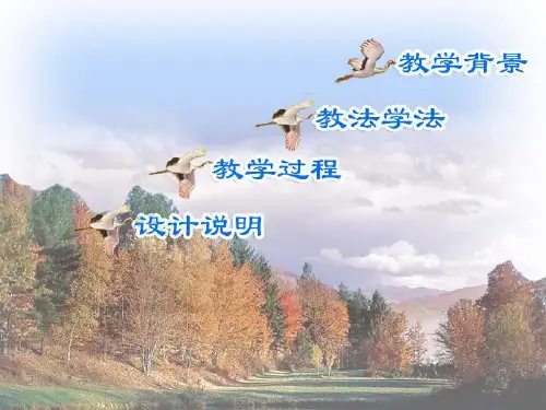 苏科版八年级数学下分式课件(全国优质观摩课)(共30张PPT)