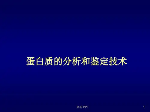蛋白质分析鉴定精品课件