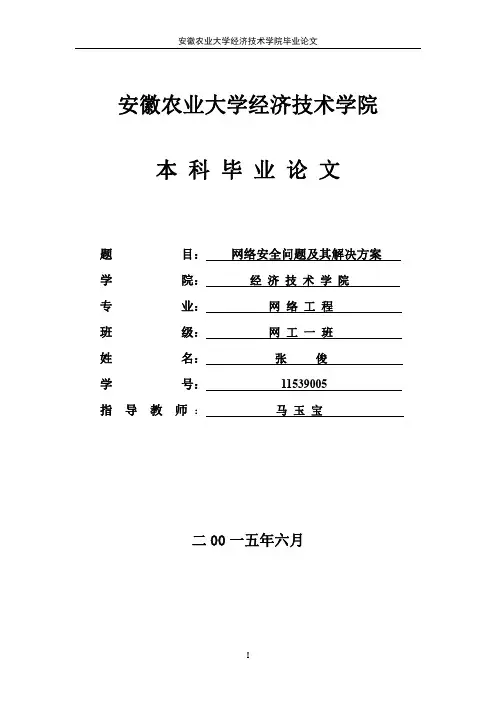 网络安全问题及其解决方案