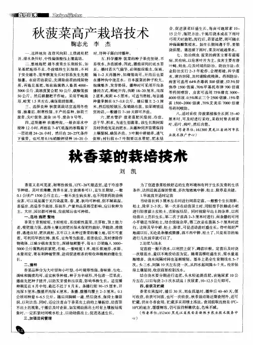 秋菠菜高产栽培技术