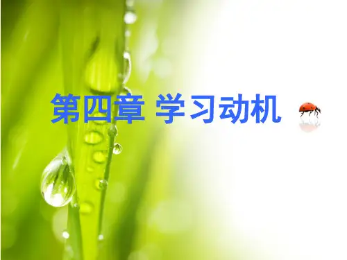 学习动机理论PPT