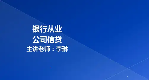 《银行从业公司信贷》PPT课件
