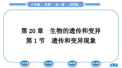 北师大版八年级生物上第6单元生命的延续第20章生物的遗传和变异第1节遗传和变异现象习题课件
