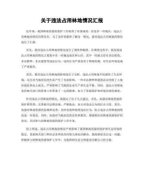 关于违法占用林地情况汇报