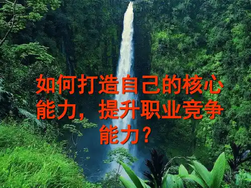 如何打造自己的核心能力、提升职业竞争能力(ppt48张)