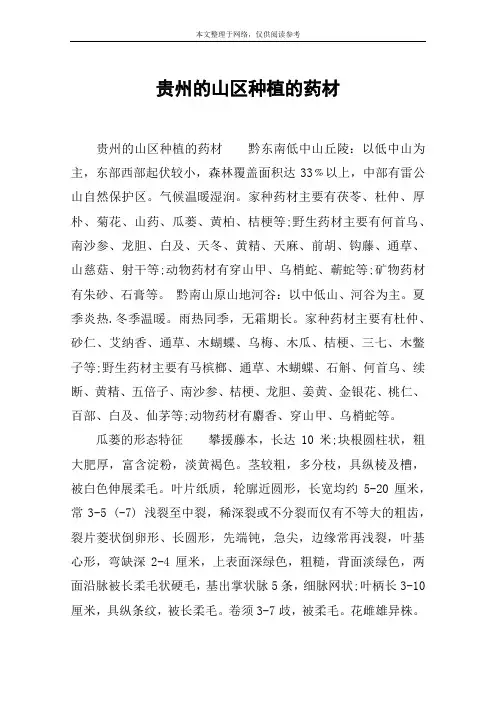 贵州的山区种植的药材