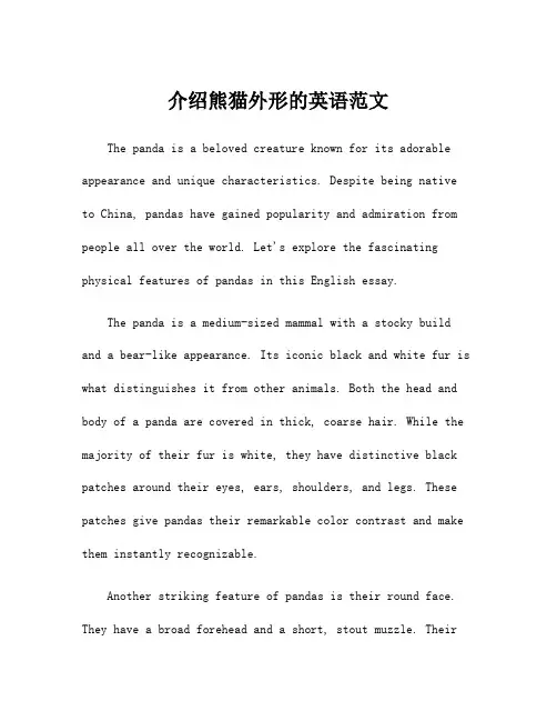 介绍熊猫外形的英语范文