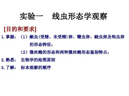 实验一    线虫实验学