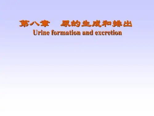 第八章 尿的生成和排出