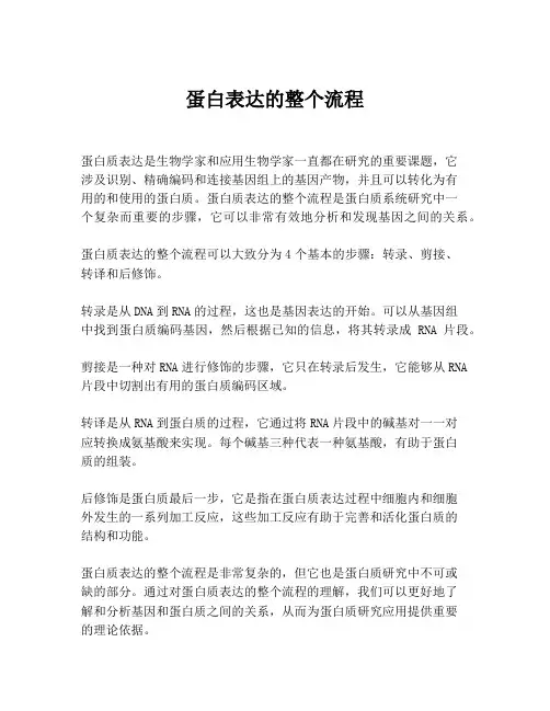 蛋白表达的整个流程