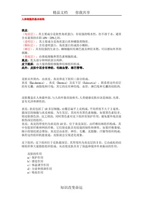 人体细胞的基本结构