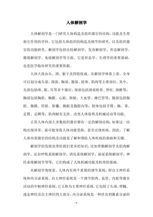 人体解剖学