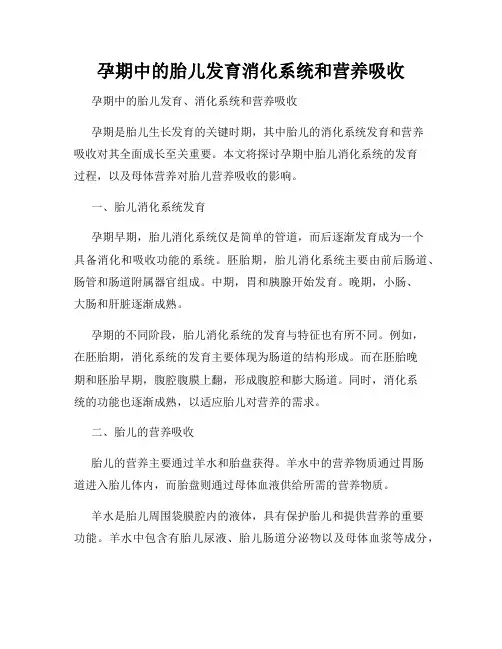 孕期中的胎儿发育消化系统和营养吸收