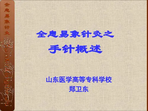 全息易象针灸-手针概述