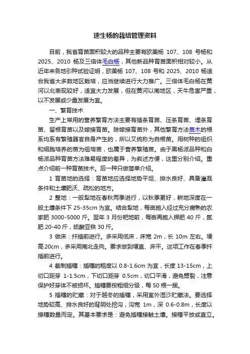 速生杨的栽培管理资料