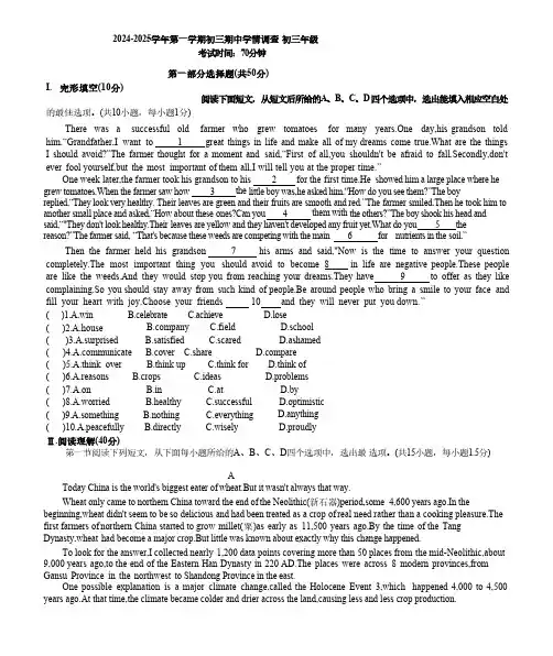 广东省深圳市宝安中学2024-2025学年九年级上学期期中测试英语试卷(含答案)