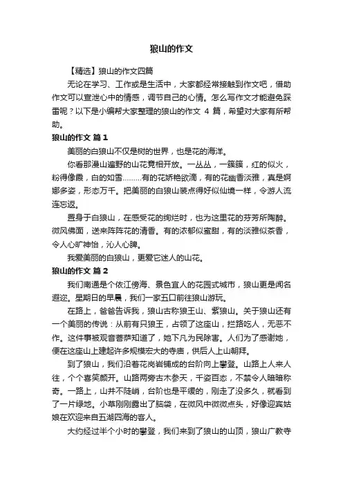 【精选】狼山的作文四篇