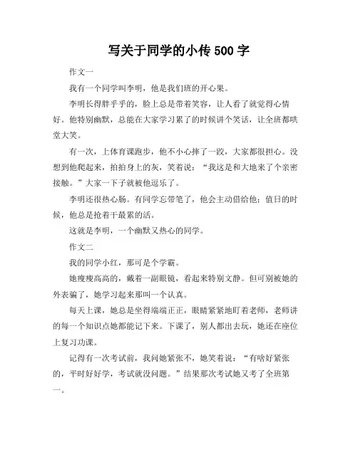 写关于同学的小传500字