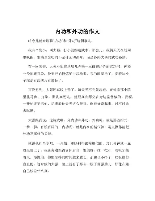 内功和外功的作文