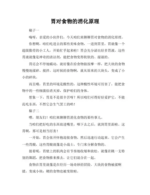胃对食物的消化原理