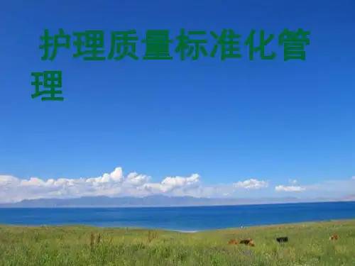 护理质量的标准化管理参考PPT