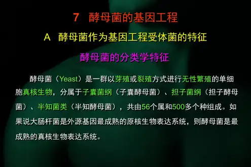 酵母菌的基因工程