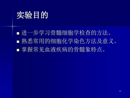 骨髓细胞学检查