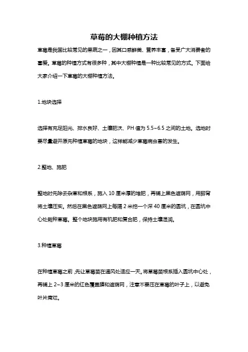 草莓的大棚种植方法