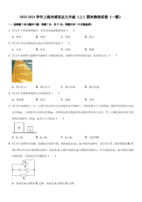 2023-2024学年上海市浦东区九年级(上)期末物理试卷(一模)(含解析)