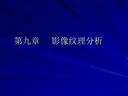 09 第九章 影像纹理分析