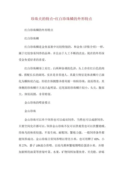 珍珠犬的特点-红白珍珠鳞的外形特点