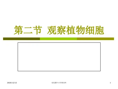 人教版七年级初一上册生物《观察植物细胞》PPT教学课件