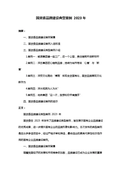 国资委品牌建设典型案例 2023年