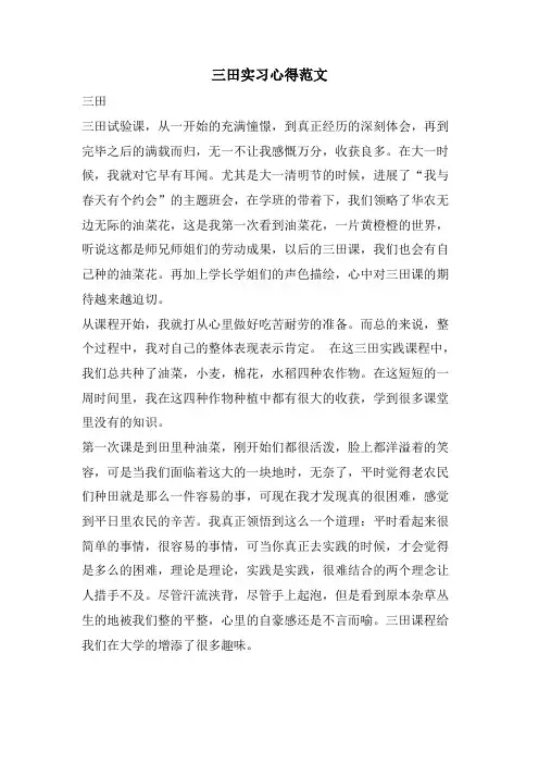 三田实习心得范文