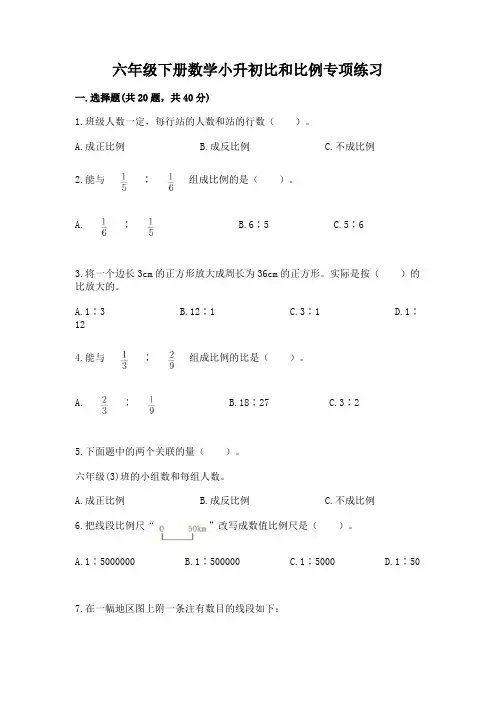 六年级下册数学小升初比和比例专项练习(模拟题)