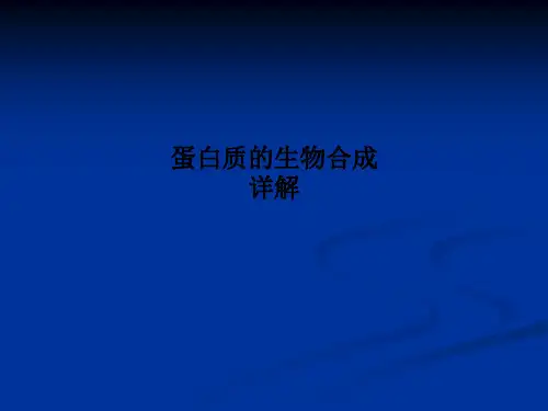 蛋白质的生物合成详解