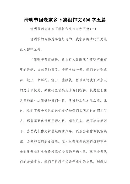 清明节回老家乡下祭祖作文800字五篇