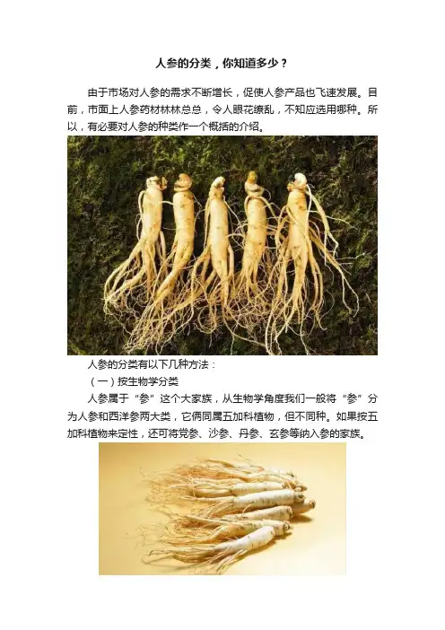 人参的分类，你知道多少？