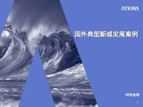 国外典型新城发展新思维