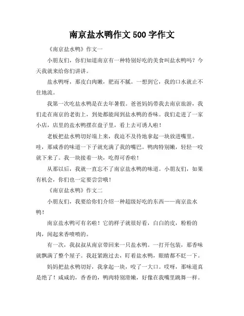 南京盐水鸭作文500字作文