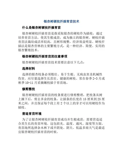 银杏树硬枝扦插育苗技术