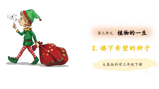 (新教材)大象版三年级下册科学 3.2播下希望的种子 教学课件PPT