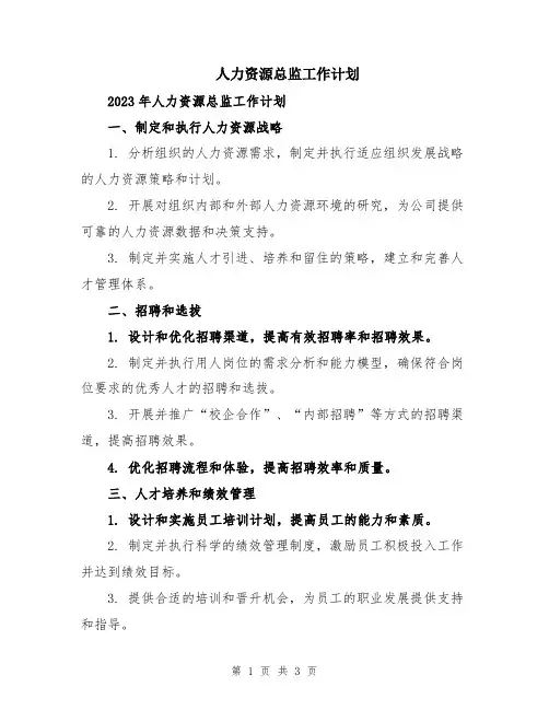 人力资源总监工作计划