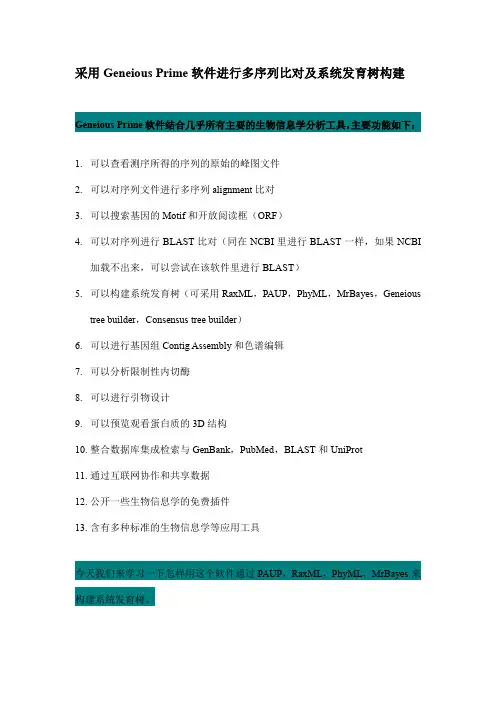 采用Geneious Prime软件进行多序列比对及系统发育树构建