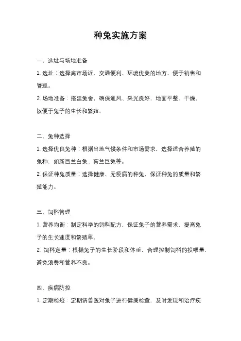 种兔实施方案