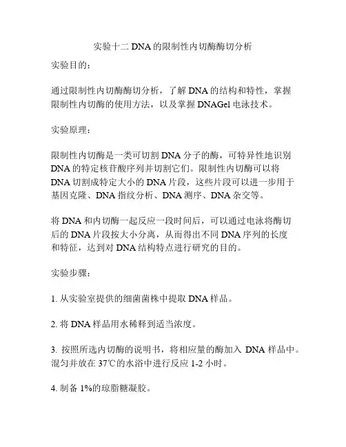 实验十二 DNA的限制性内切酶酶切分析